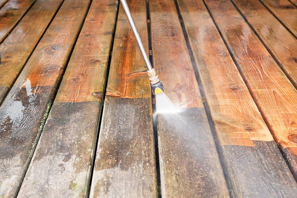 Best Concrete Pressure Washing  in Ravenel, SC